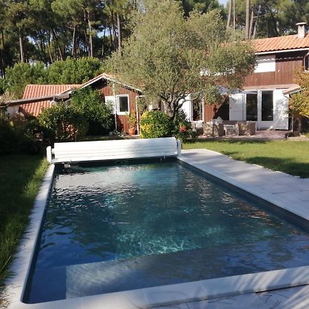 Maison Familiale En Bois Avec Piscine, Proche Du Bassin Gujan-Mestras Exterior photo